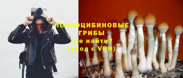 spice Бугульма