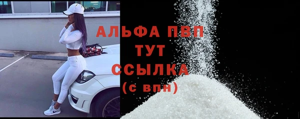 2c-b Бородино