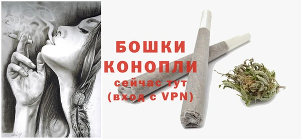 2c-b Бородино