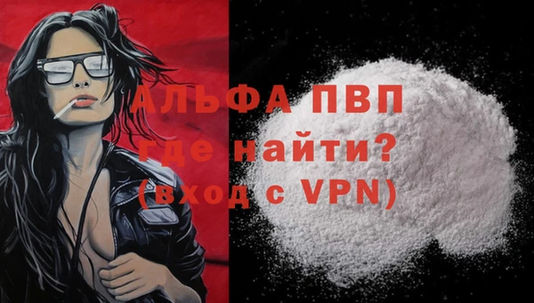 стаф Богородицк
