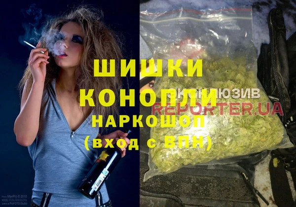 2c-b Бородино